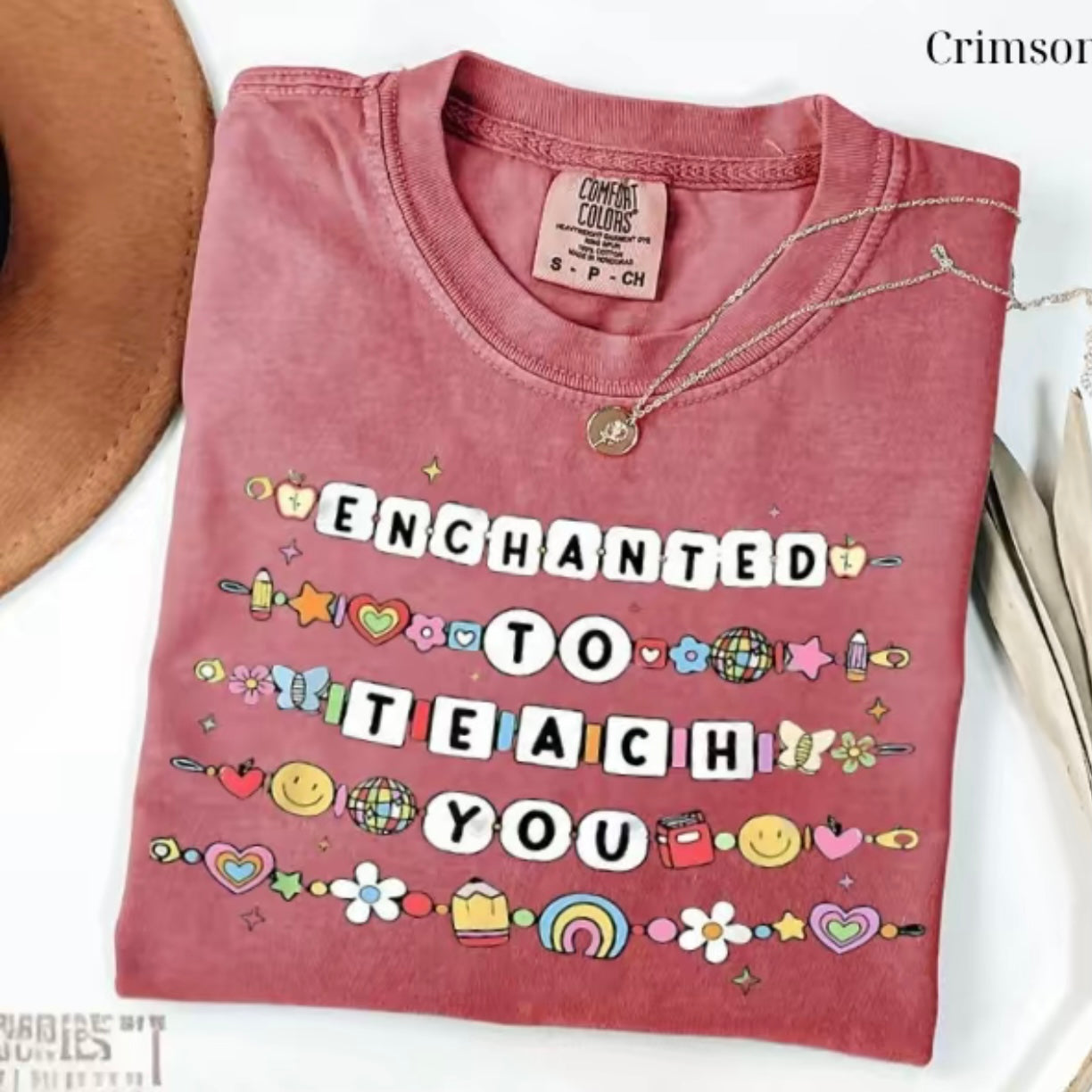 Enchanted To Teach You Teacher T-Shirt/Sweatshirt/Hoodie