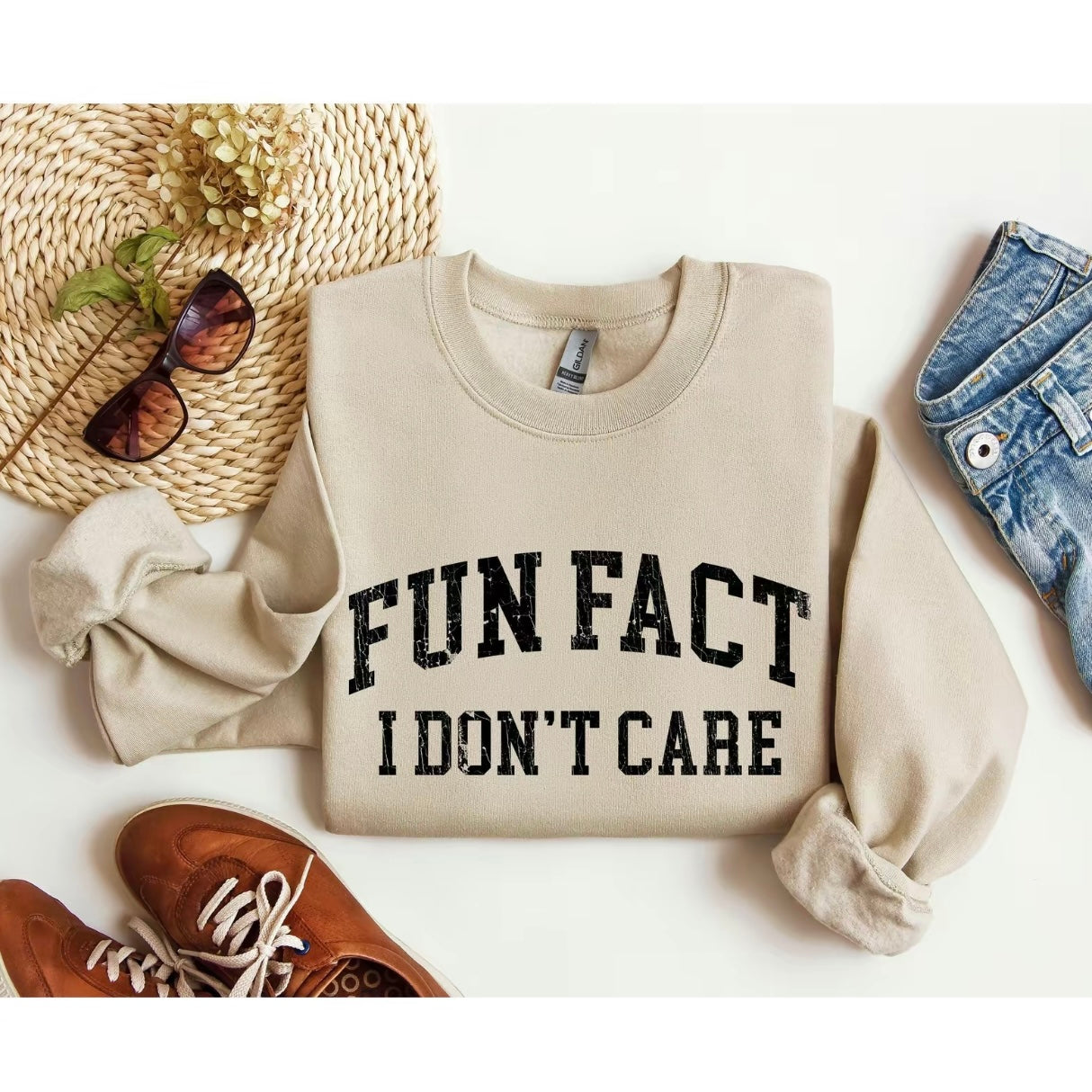 Fun Fact I Don't Care T-Shirt/Sweatshirt/Hoodie