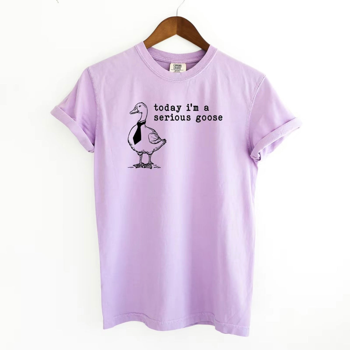 Serious Goose Funny T-Shirt/Sweatshirt/Hoodie
