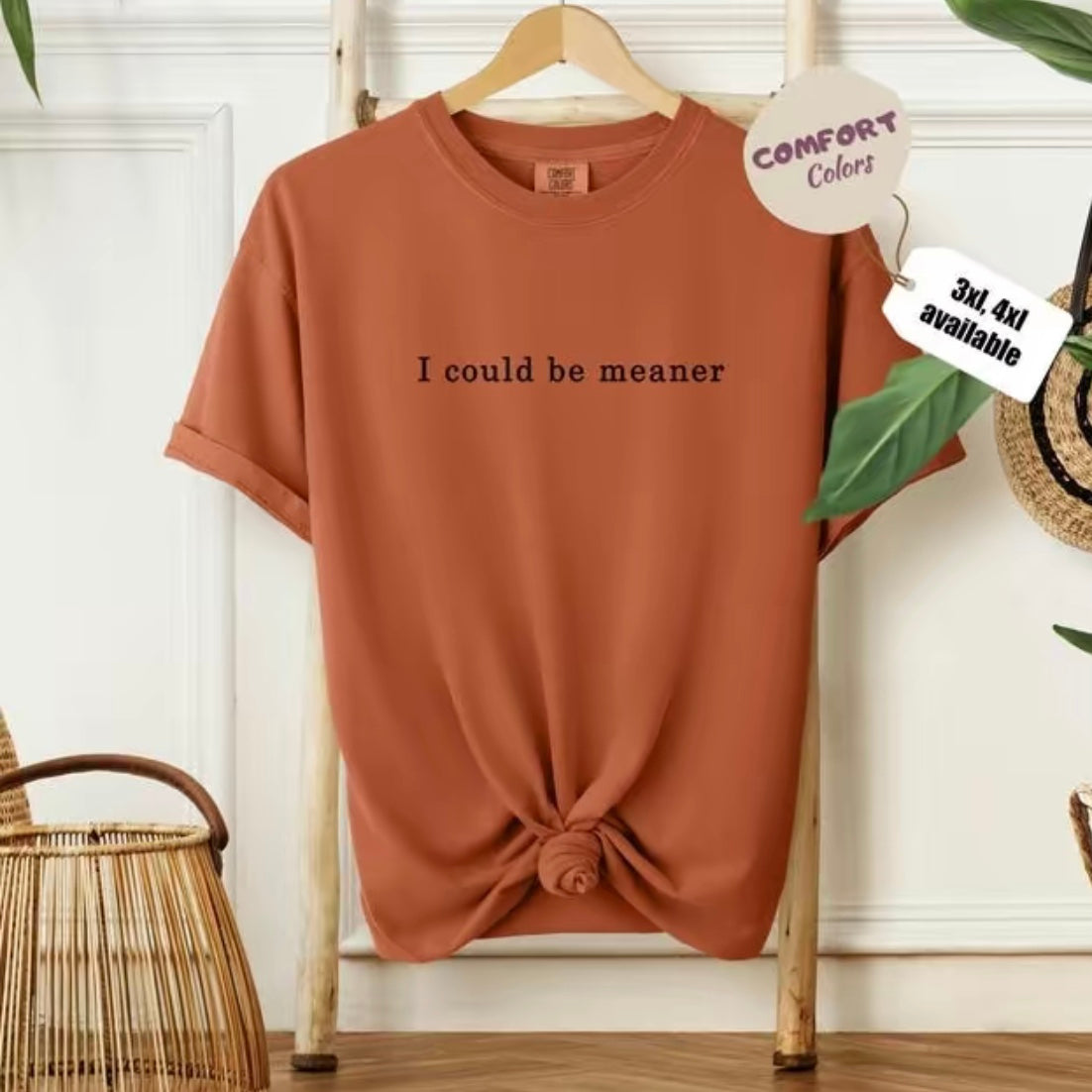 I Could Be Meaner T-Shirt/Sweatshirt/Hoodie