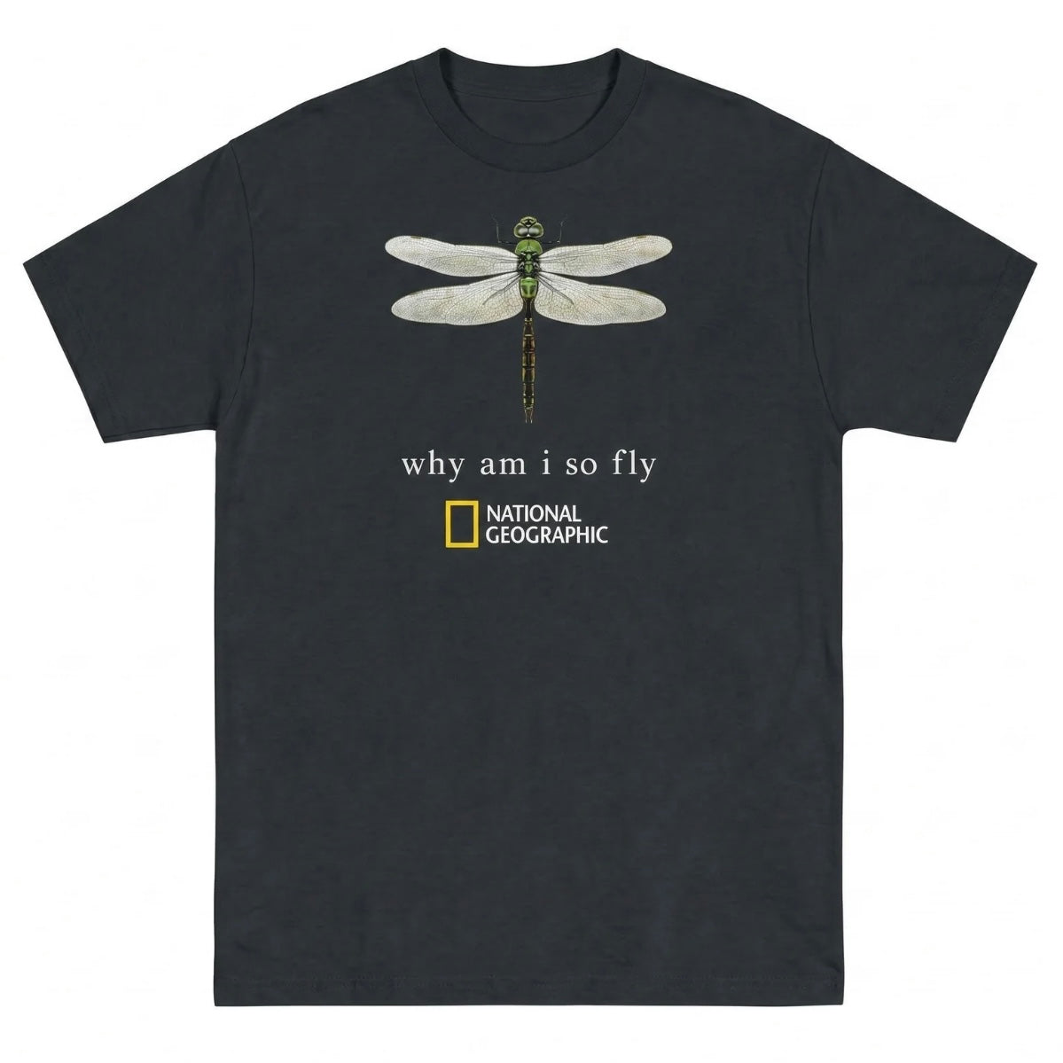 Why am I So Fly T-Shirt/Sweatshirt/Hoodie