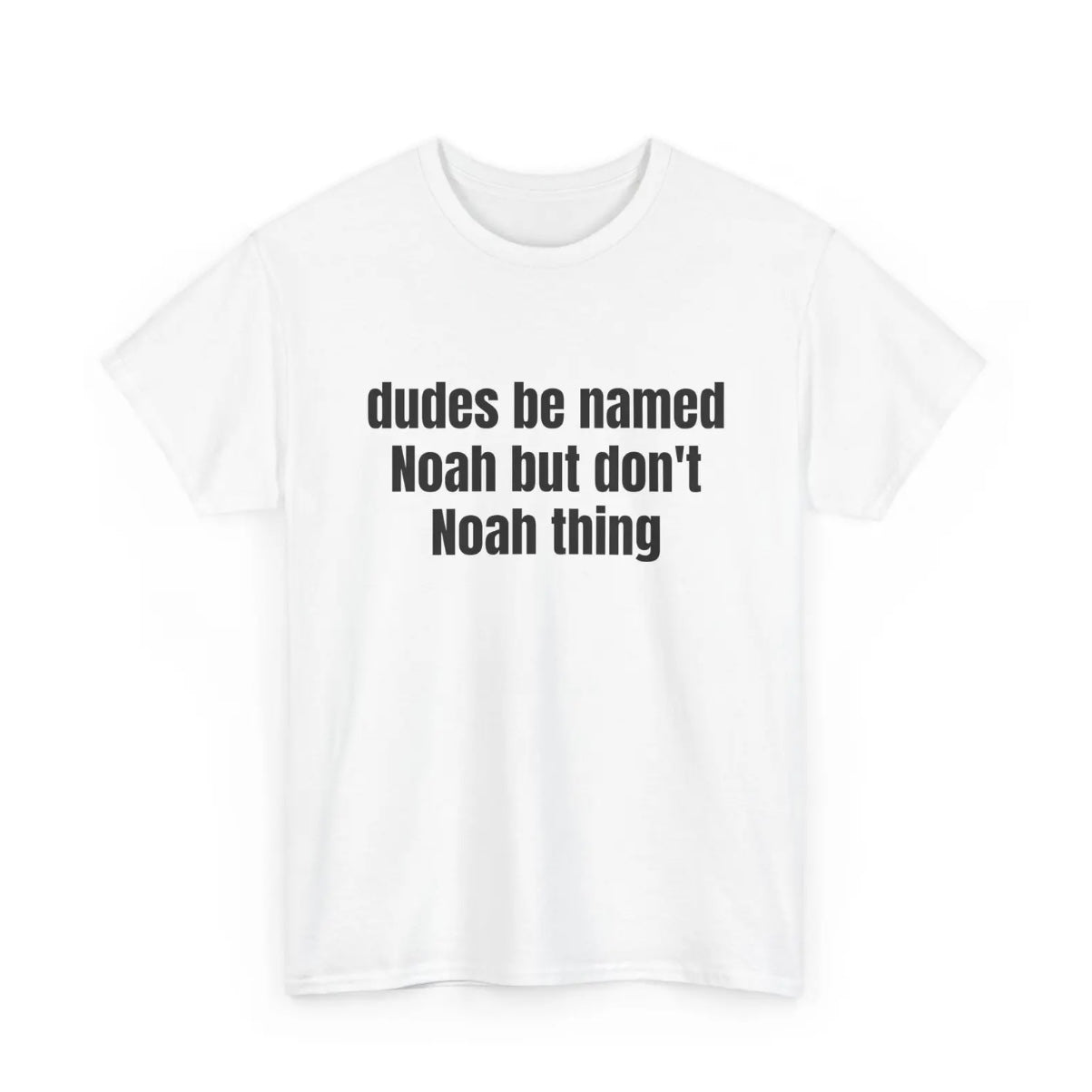 Dudes Be Named Noah But Don't Noah Thing Fuuny T-Shirt/Sweatshirt/Hoodie