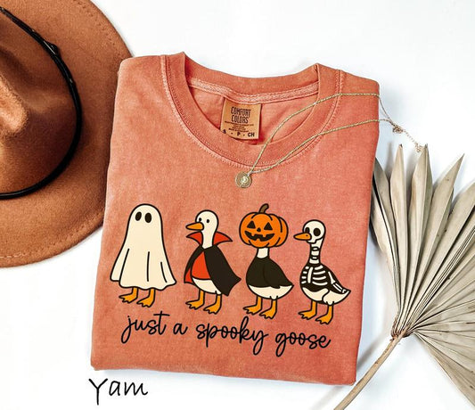 Just A Spooky Goose Shirt Funny Halloween Goose T-Shirt/Sweatshirt/Hoodie