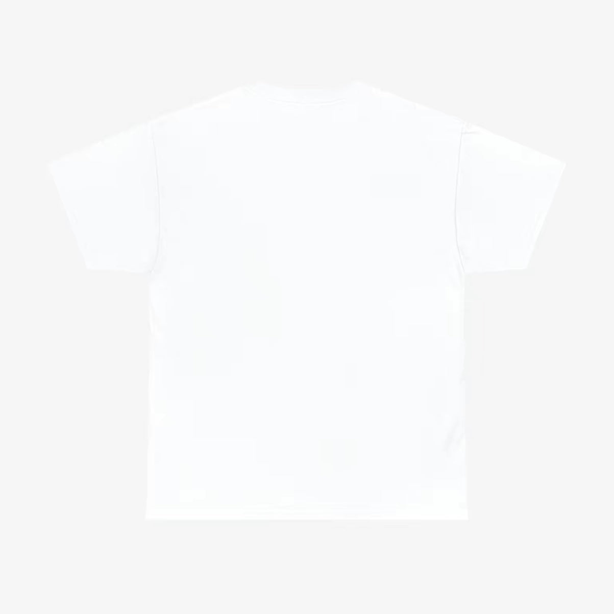 Performative T-Shirt/Sweatshirt/Hoodie