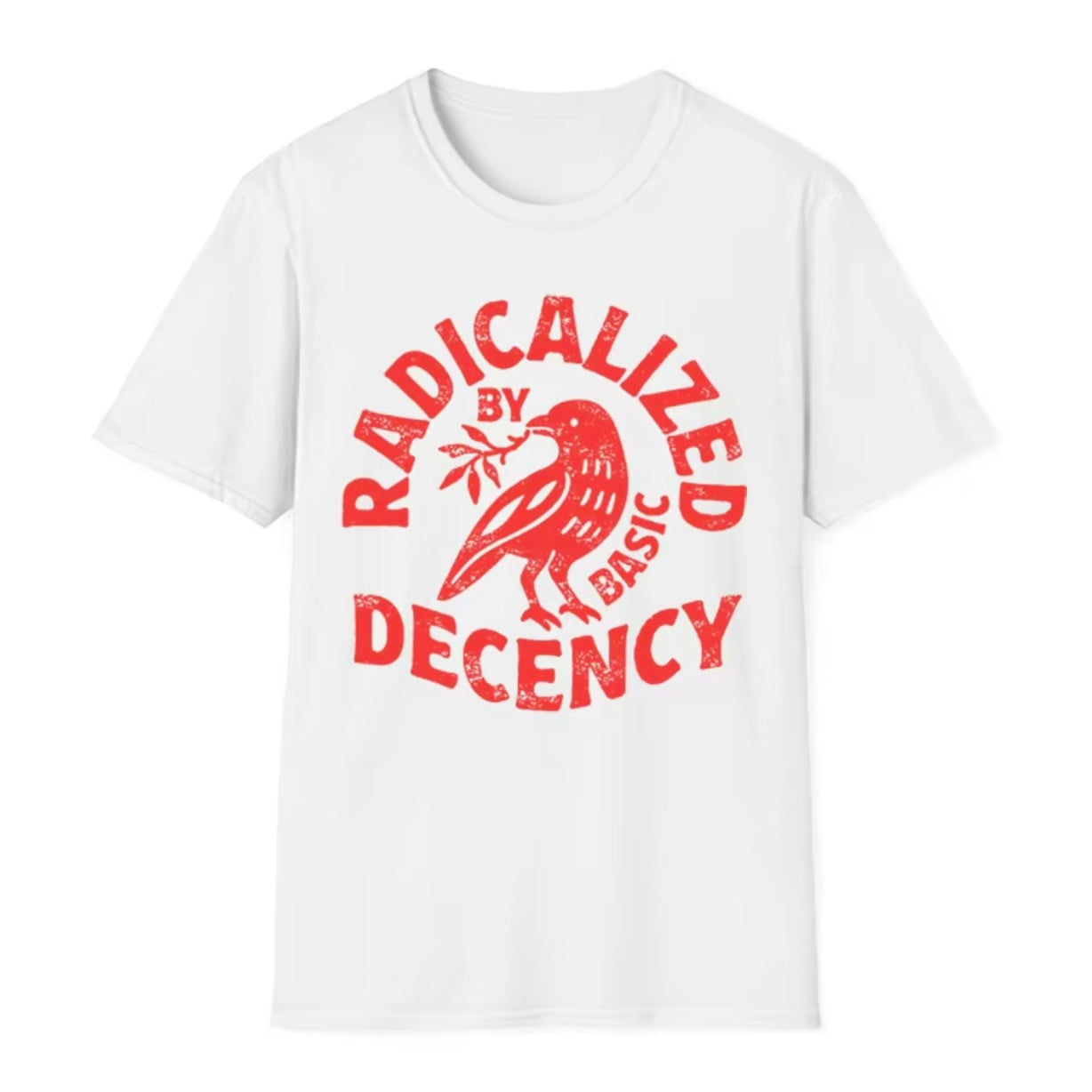 Radicalized By Basic Decency T-Shirt T-Shirt/Sweatshirt/Hoodie