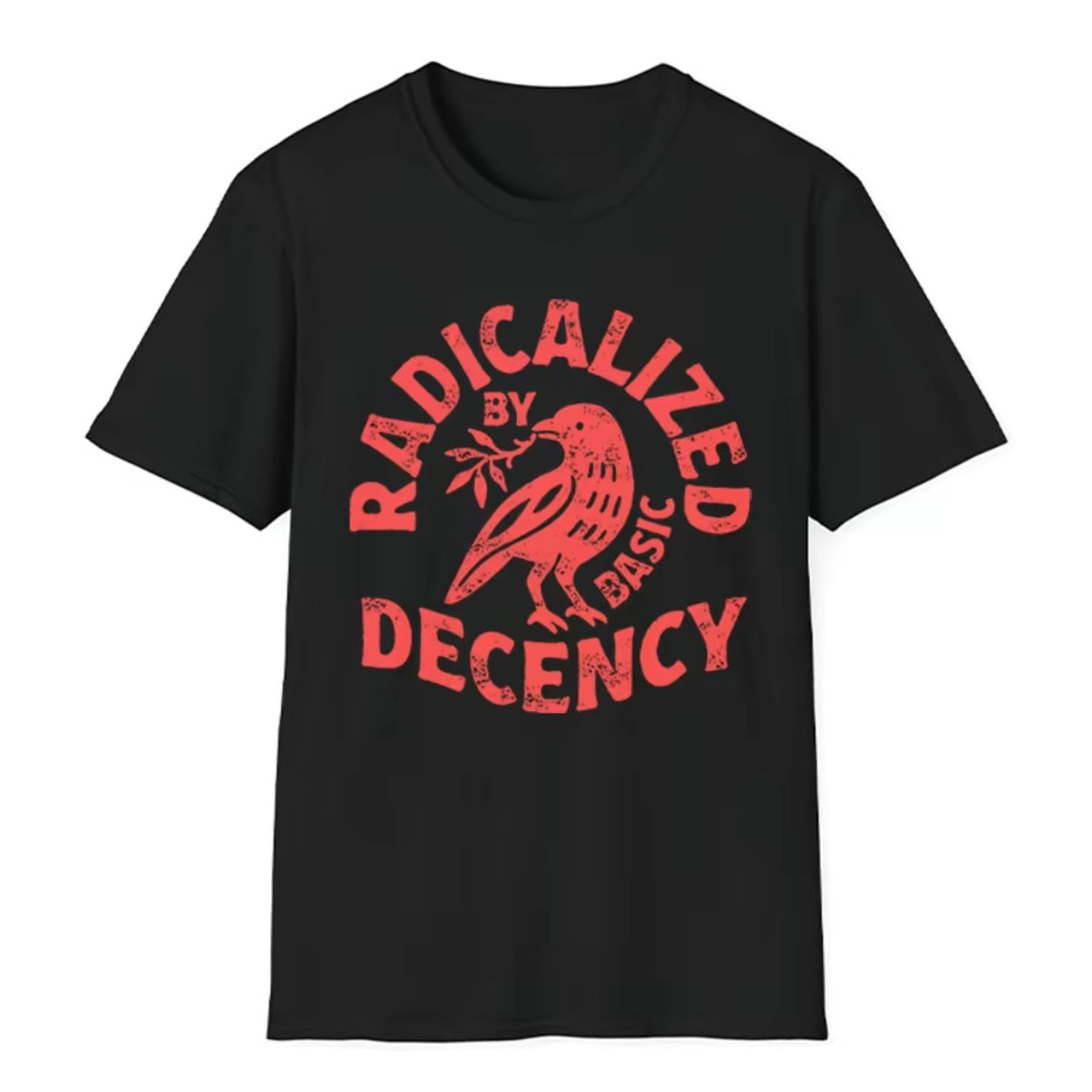 Radicalized By Basic Decency T-Shirt T-Shirt/Sweatshirt/Hoodie
