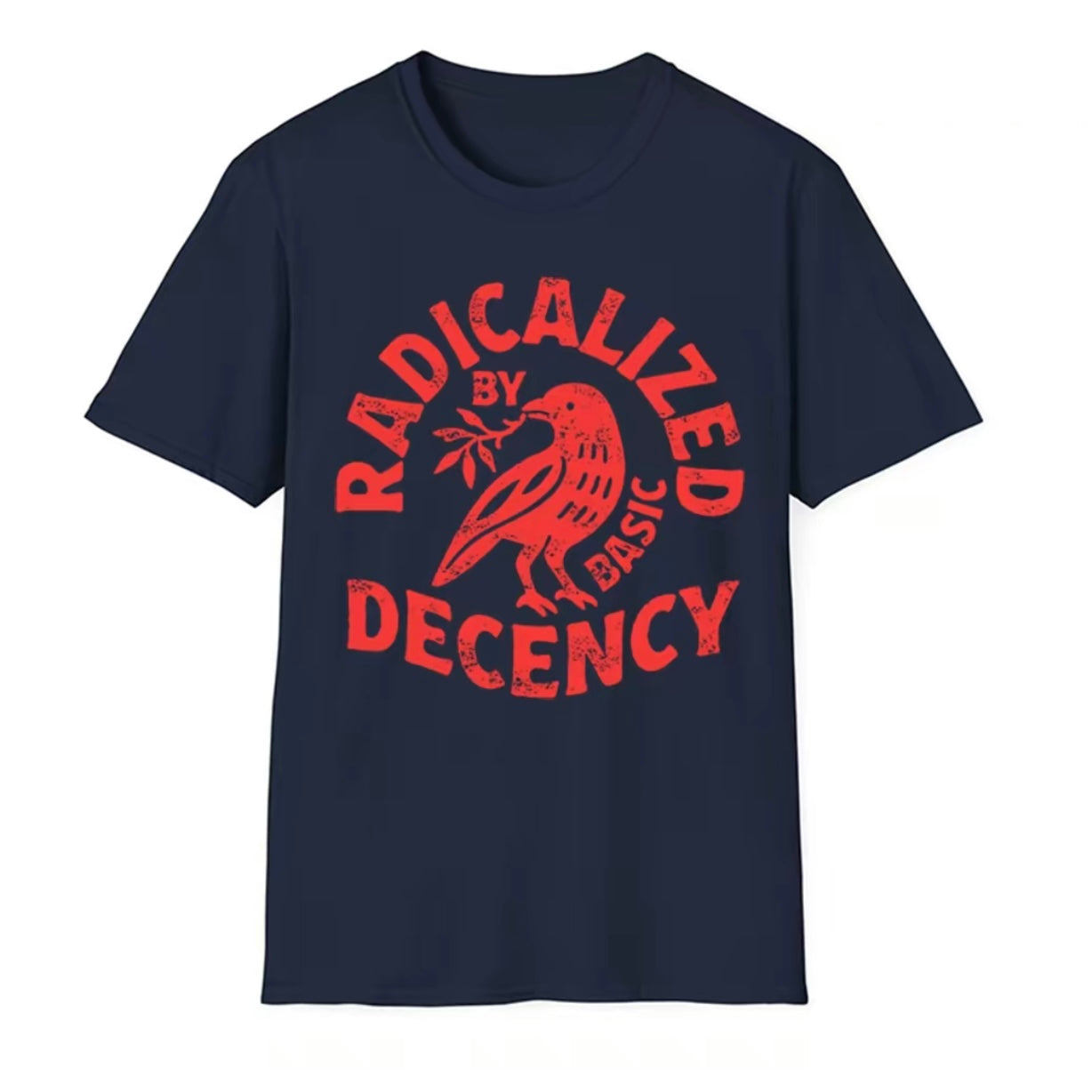 Radicalized By Basic Decency T-Shirt T-Shirt/Sweatshirt/Hoodie
