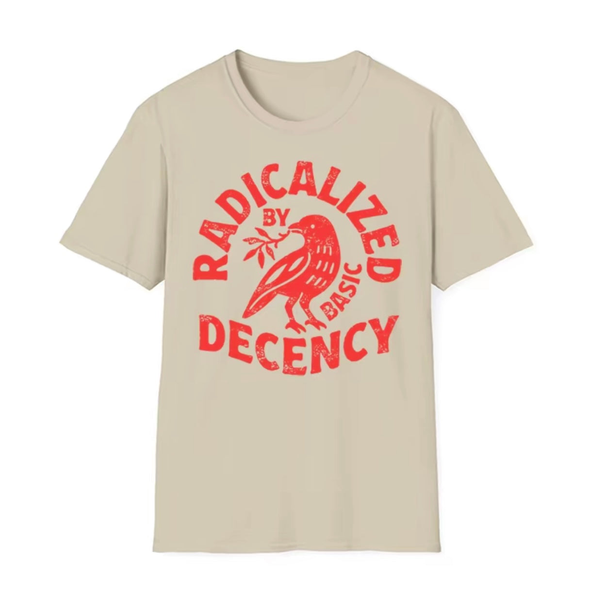 Radicalized By Basic Decency T-Shirt T-Shirt/Sweatshirt/Hoodie
