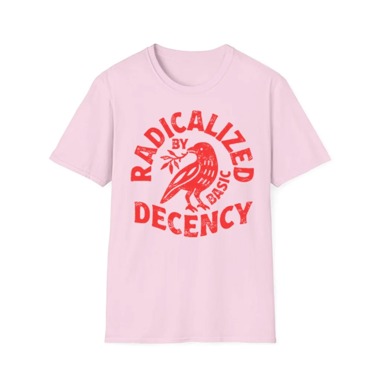 Radicalized By Basic Decency T-Shirt T-Shirt/Sweatshirt/Hoodie