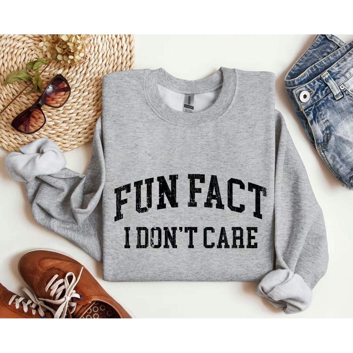 Fun Fact I Don't Care T-Shirt/Sweatshirt/Hoodie