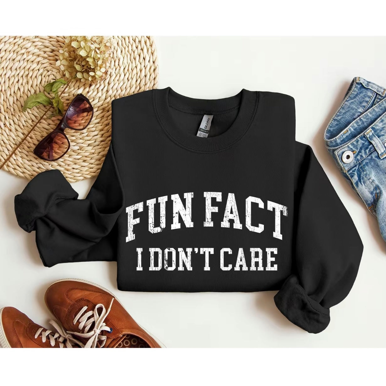 Fun Fact I Don't Care T-Shirt/Sweatshirt/Hoodie