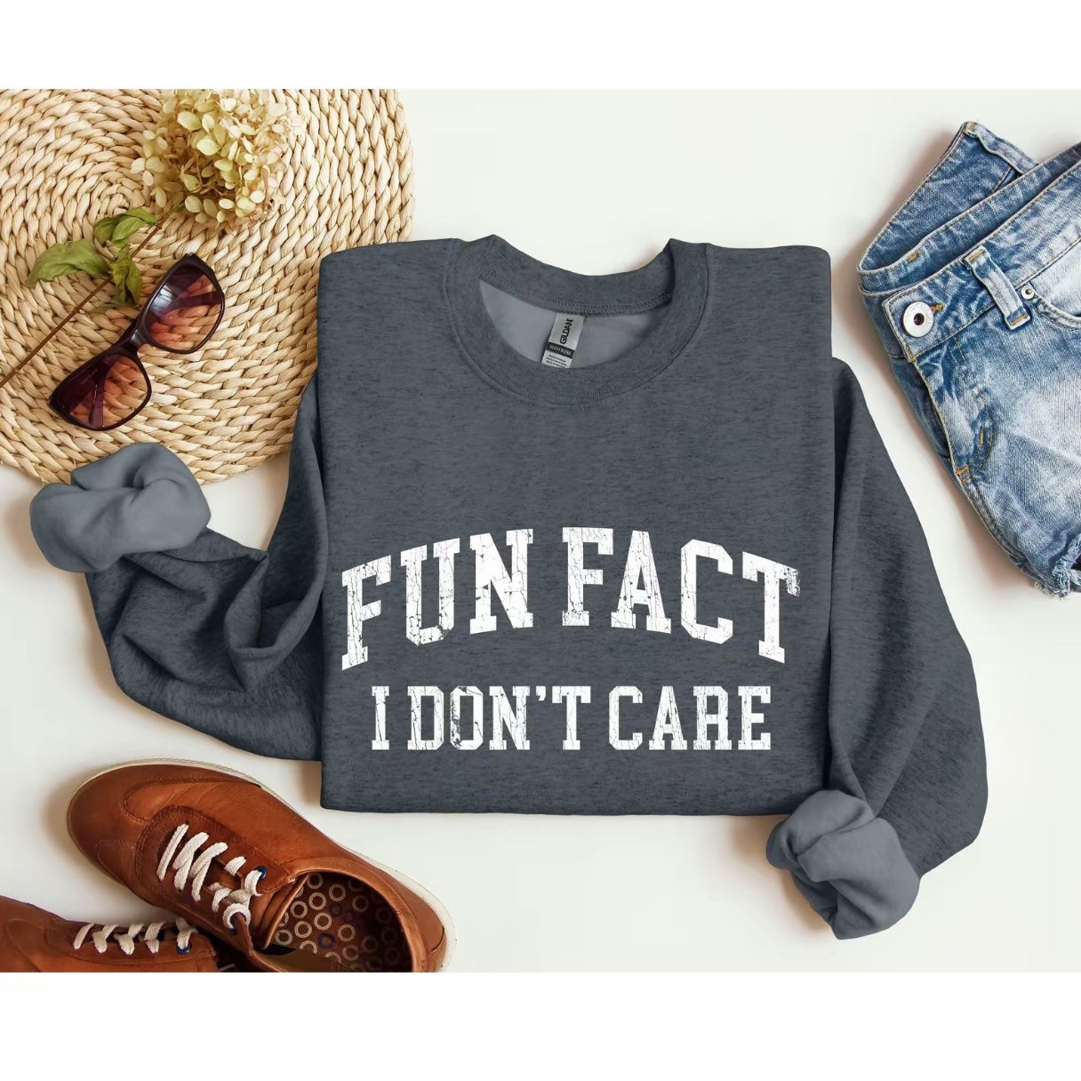 Fun Fact I Don't Care T-Shirt/Sweatshirt/Hoodie