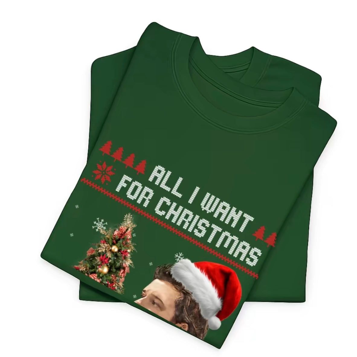 All I Want for Christmas T-Shirt/Sweatshirt/Hoodie