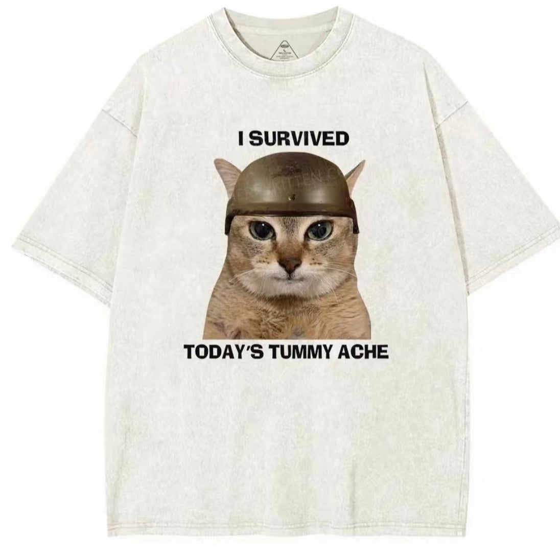 Tummy Ache Survivor T-Shirt/Sweatshirt/Hoodie