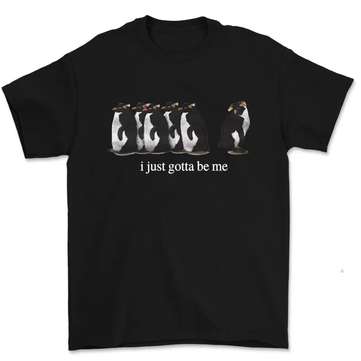 I Just Gotta Be Me National Geographic Penguin T-Shirt/Sweatshirt/Hoodie