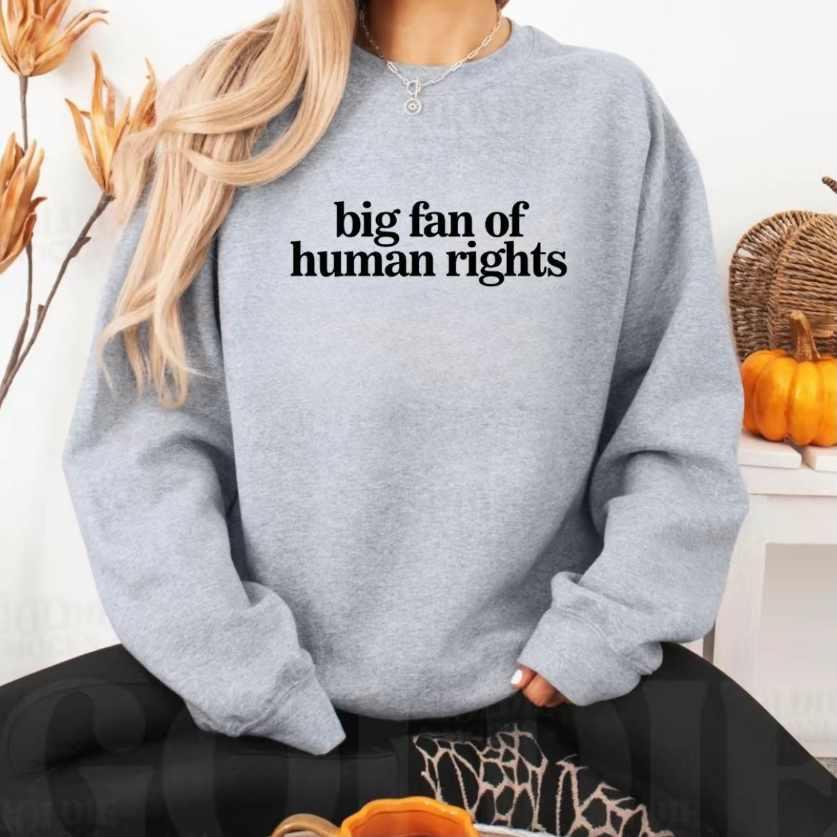 Big Fan of Human Rights T-Shirt/Sweatshirt/Hoodie