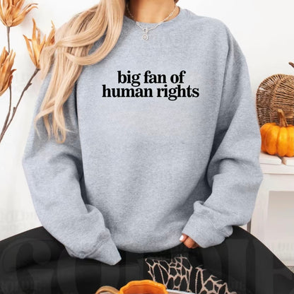 Big Fan of Human Rights T-Shirt/Sweatshirt/Hoodie