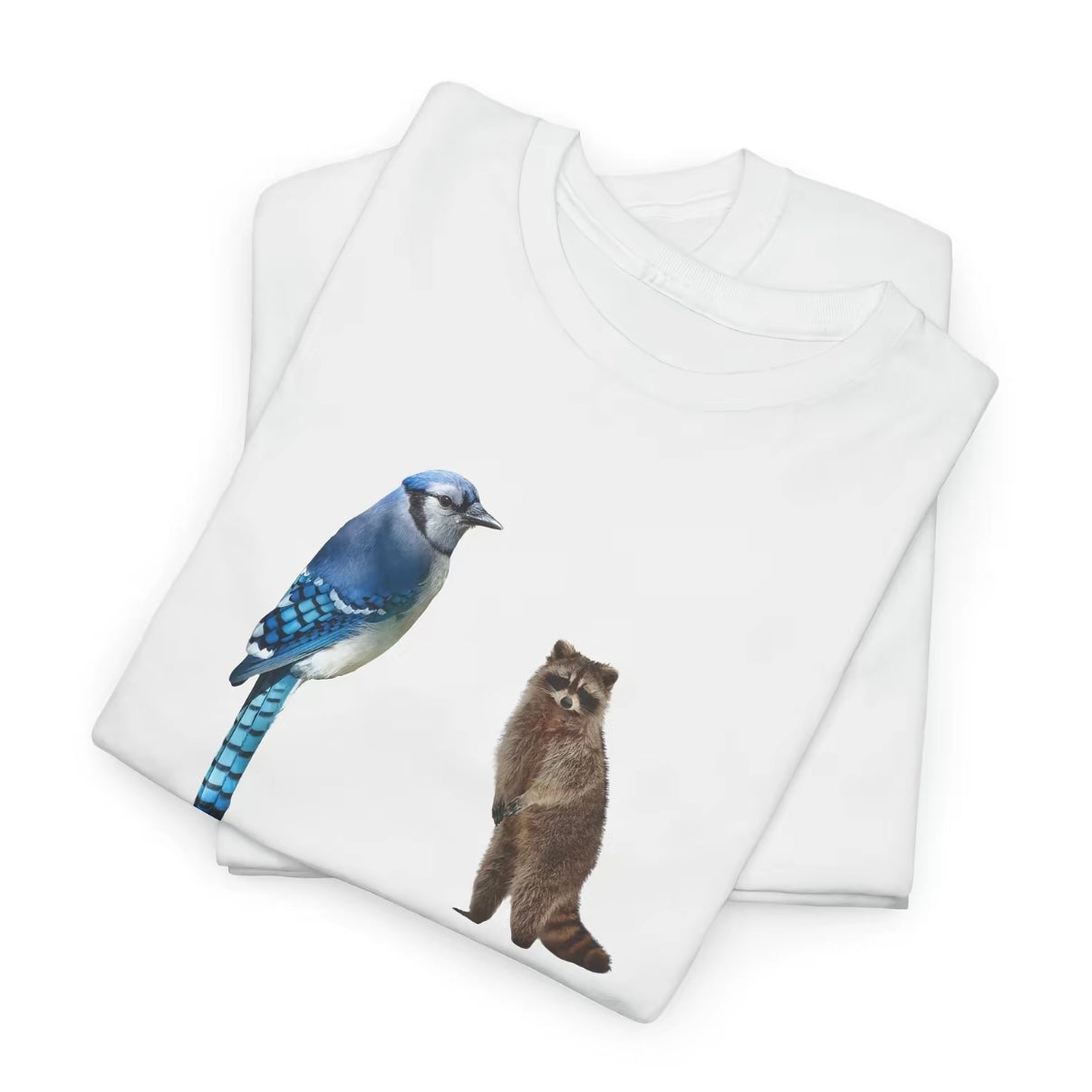 I Just A Regular Life Blue Jay And Raccoon Shirt/Sweatshirt/Hoodie