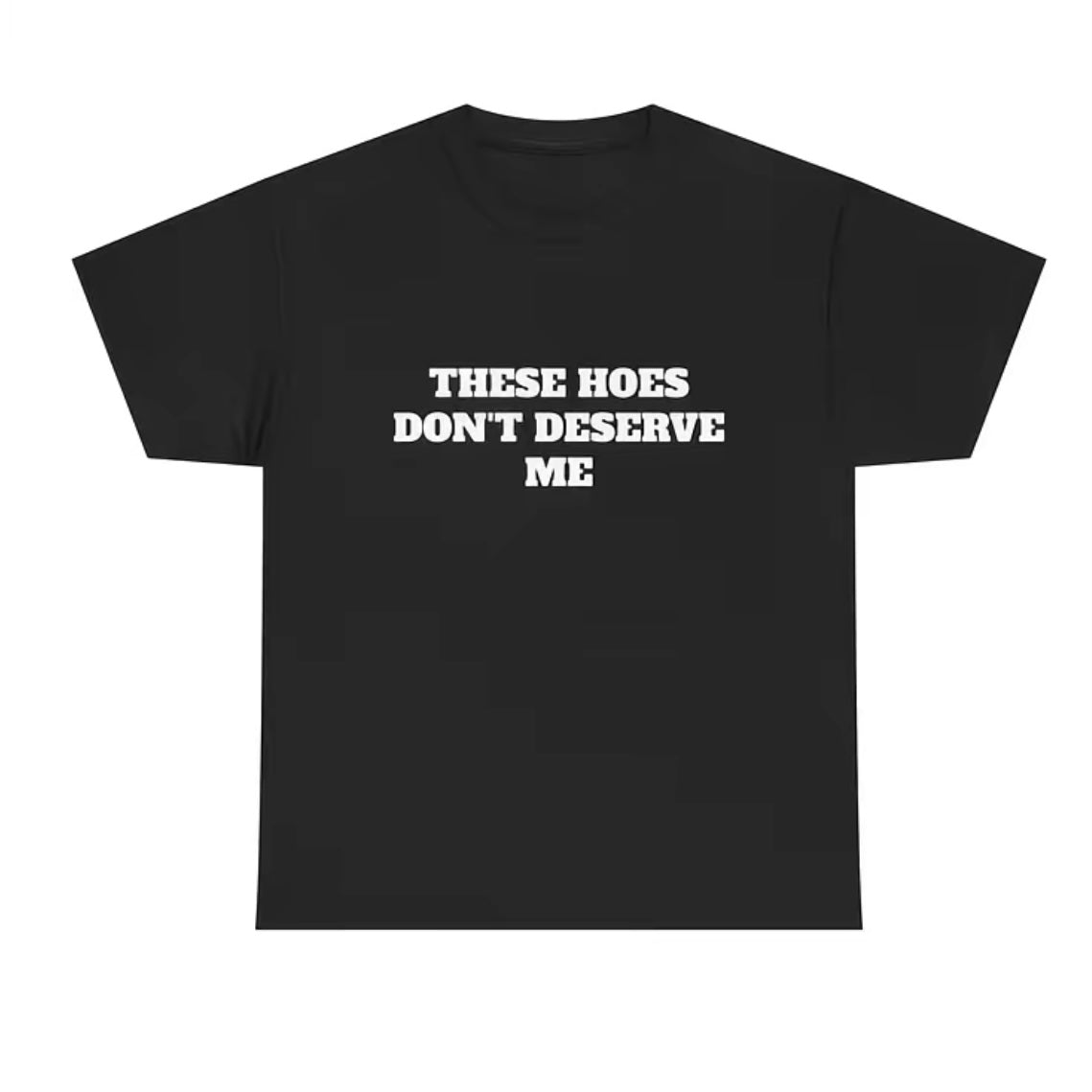 These Chicks Don't Deserve Me T-Shirt/Sweatshirt/Hoodie