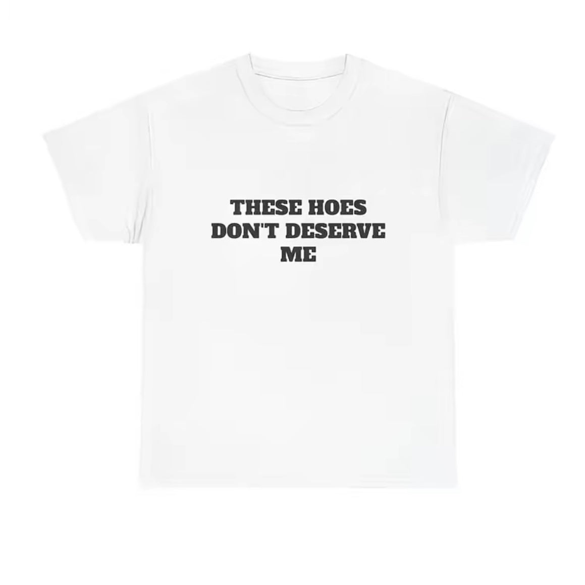 These Chicks Don't Deserve Me T-Shirt/Sweatshirt/Hoodie