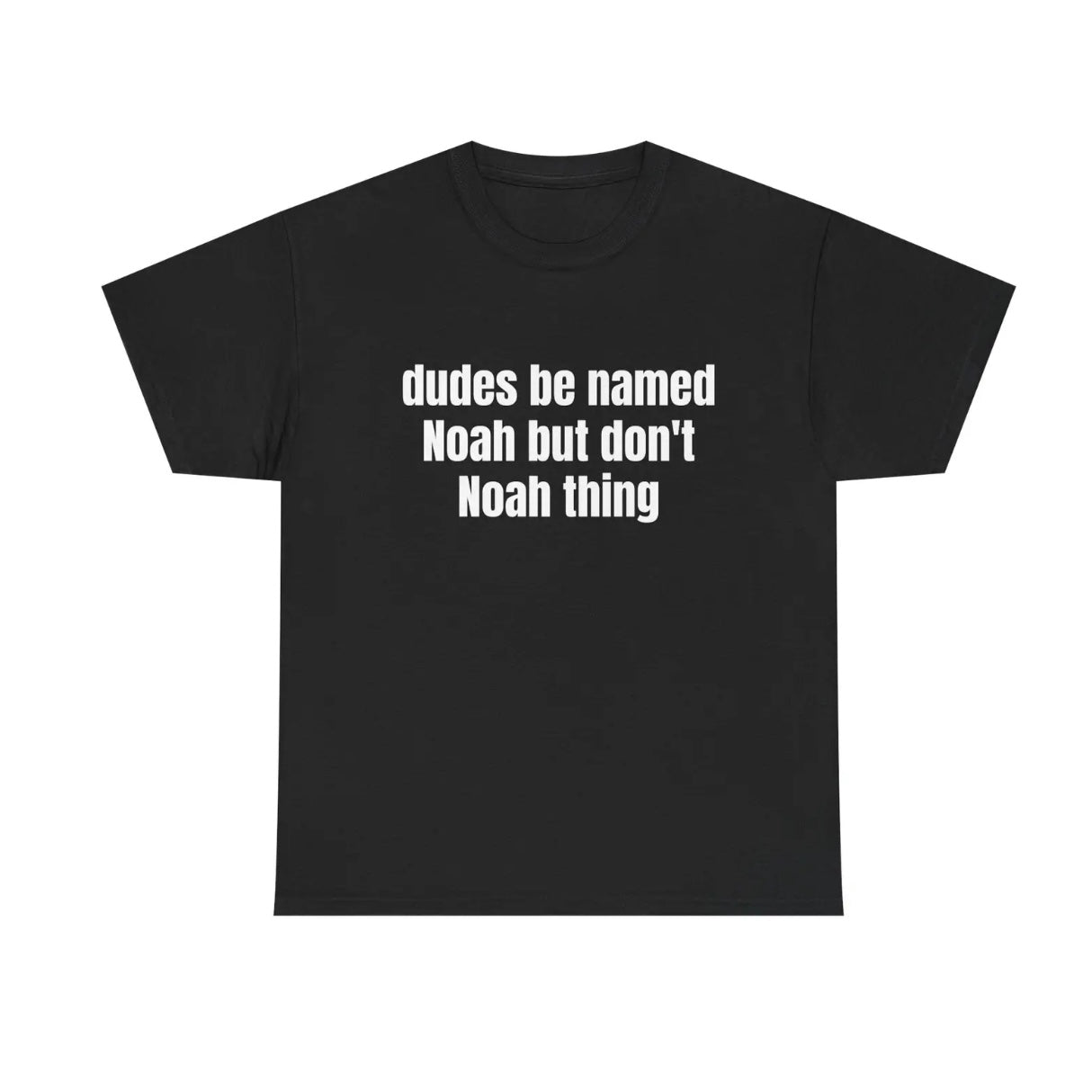 Dudes Be Named Noah But Don't Noah Thing Fuuny T-Shirt/Sweatshirt/Hoodie