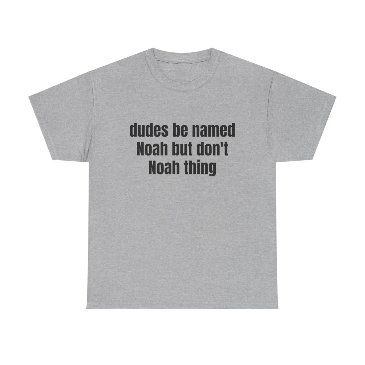 Dudes Be Named Noah But Don't Noah Thing Fuuny T-Shirt/Sweatshirt/Hoodie