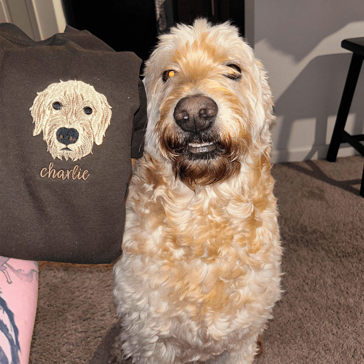 Custom Dog Embroidered Sweatshirt, Hoodie - Gift for Dog Pet Lover