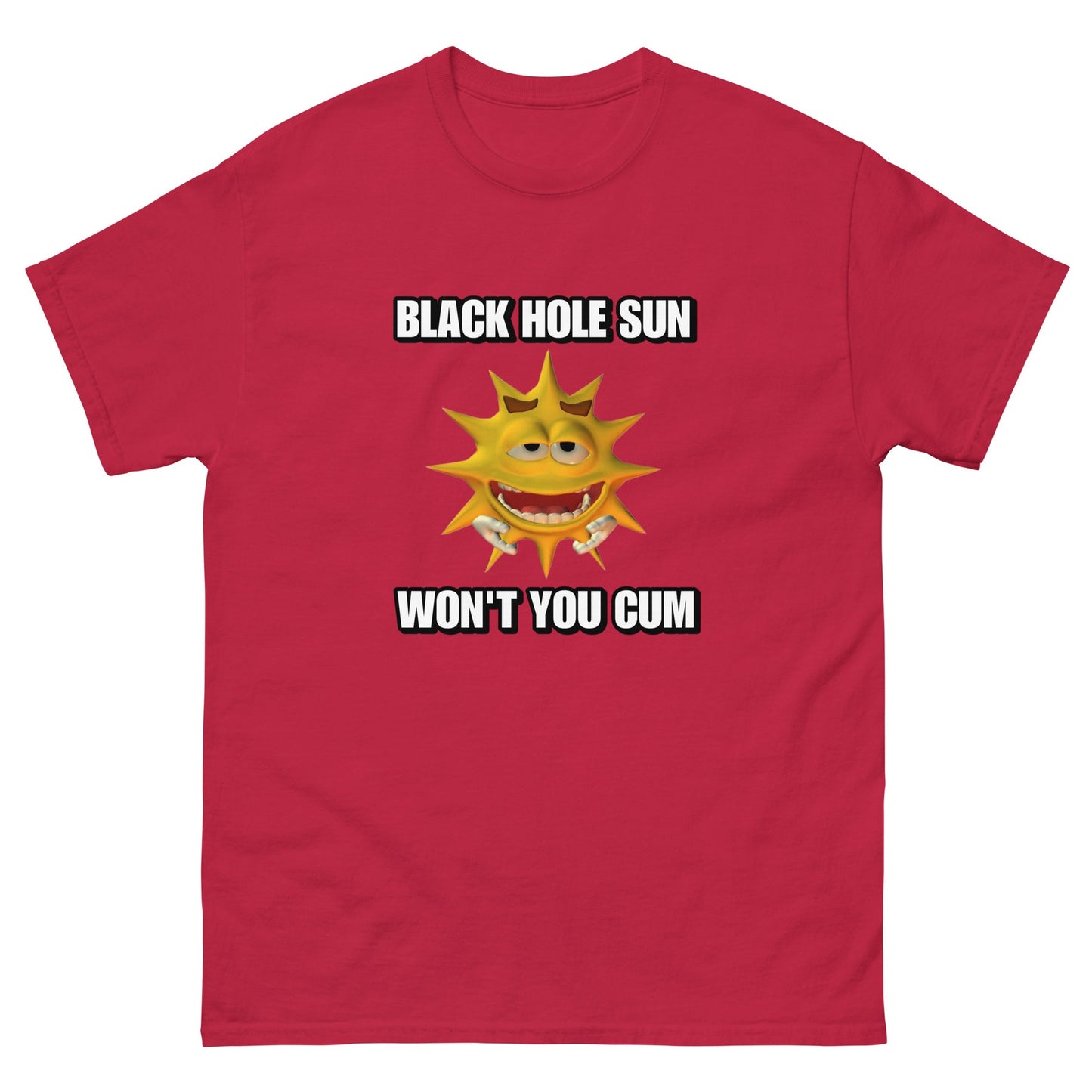 Black Hole Sun T-Shirt/Sweatshirt/Hoodie