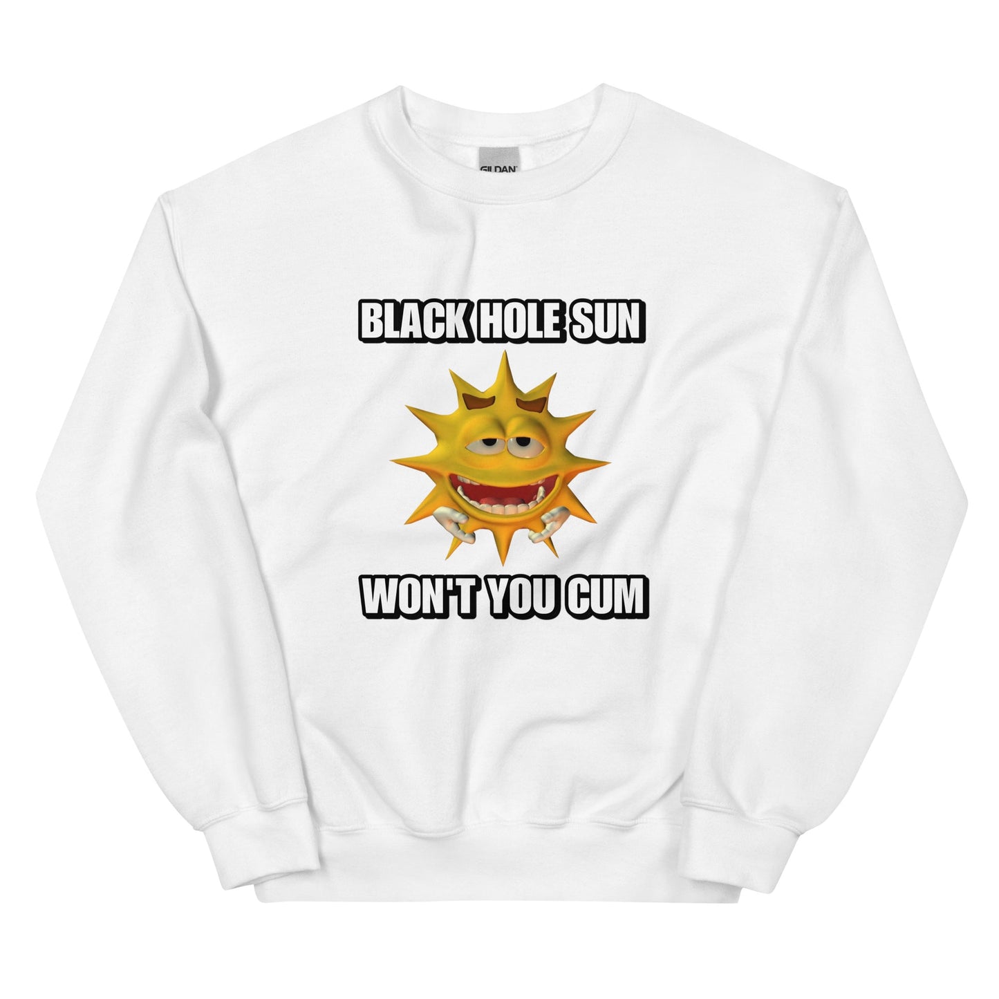 Black Hole Sun T-Shirt/Sweatshirt/Hoodie